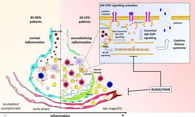 COVID-19: High-JAKing of the Inflammatory “Flight” by Ruxolitinib to Avoid the Cytokine Storm